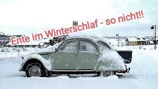 CITROEN 2 CV ENTE Ente im Winterschlaf - kurze Anmerkungen