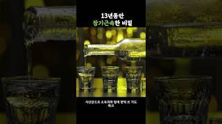 공무직으로 13년동안 장기근속한 비밀은?   #무기계약직 #공무직 #장기근속 #퇴사 #중년퇴직 #1인사업가