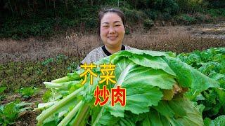 媳妇做一道家常菜，芥菜炒肉，家人吃得津津有味