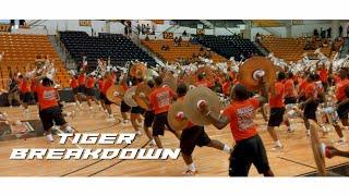 GSU Tiger Band Breakdown | 2022 Fan Day Pep Rally | Grambling State University