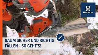 Baumfällung. Sicher und richtig fällen. How-To | Husqvarna Forst