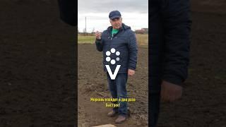 Морковь взойдет в два раза быстрее! Вырастет раньше, сладкой и крупной!