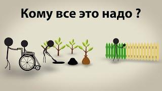 Почему стоит стать волонтером?