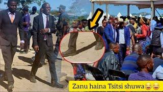 Zanupf Haina Tsitsi Shuwa Honaiwo