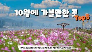 10월 여행지 찾으세요? 이 영상 보고 다녀오시면 됩니다. 후회없는 가을 여행지로만 선별해서 소개해 드립니다.