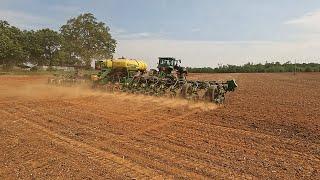 Sunflower & Cotton Planting 2024