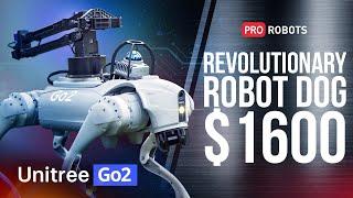 Introducing Unitree Go2 - Quadruped Robot of Embodied AI from $1600 | Pro Robots