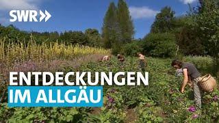 Treffpunkt Sommereise - Entdeckungen im Allgäu | SWR Treffpunkt