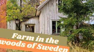 Farm in the woods of Sweden