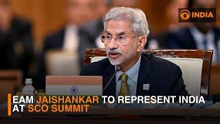 India’s External Affairs Minister S Jaishankar to attend SCO 2024 hosted by Pakistan | DD India