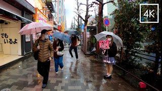 Akihabara in Rain. Anime Otaku's Heaven  in Tokyo | Walk Japan 2021［4K］