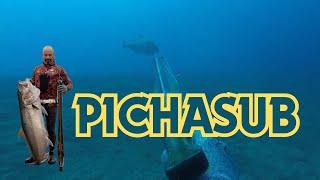 Pichasub en accion Pesca submarina  Tenerife