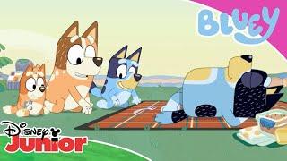 Blue Mountains ️ | Bluey  | Disney Junior Arabia