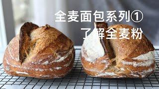 了解全麦粉【全麦面包系列1】 Understanding Whole Wheat Flour