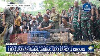 Kepala Staf Angkatan Darat Melepasliarkan Satwa ke Habitatnya | Berita Metro TV