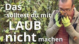 DAS solltest du mit Laub NICHT machen!