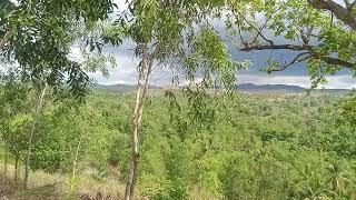 LOT FOR SALE IN BURGOS, TALIBON, BOHOL, PHILIPPINES