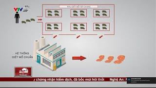 TPHCM: Thành lập khu giết mổ tập trung - sẽ không còn thực phẩm mất vệ sinh | VTV24