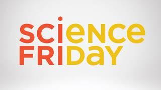 Science Friday - Goes To The Movies: First Man, Driverless Car Ethics, Beetle Battles- Part 2