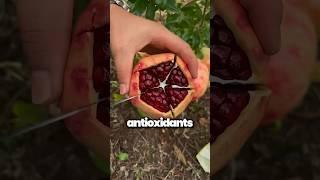 The last fruit will change everything #fruits #nutrition #healthtips