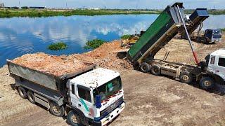 Wonderful Heavy DumpTruck Team Drop Land into Water And Bulldozer Clears Land Delete The Lake