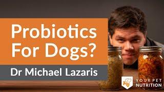 Dr. Michael Lazaris Explains Probiotics For Dogs