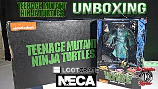 Unboxing NECA TMNT Movie 30th Anniversary LootCrate Box