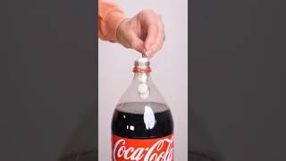 Why Mentos + Coke Explode  - Melon Playground #coke