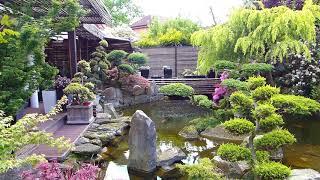 THE MOST BEAUTIFUL BACKYARD FISH POND IN THE WORLD | Garden Designs, Part 1