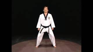 Taekwondo basic stances