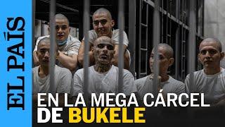 EL SALVADOR | Dentro del CECOT, la cárcel de pandilleros de Bukele | EL PAÍS