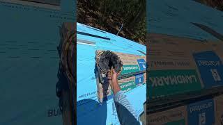 Shingles #roofing #florida #job #construction #work #solo #tools #pov #diy #roofer #building
