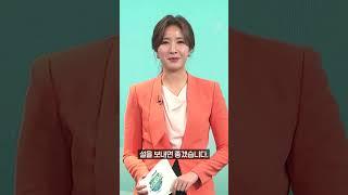 [목서윤의 다정다감한 이야기] 베트남과 중국 설날은 1월, 태국과 캄보디아 설날은 4월? 나라 별 설날│다문화│외국인