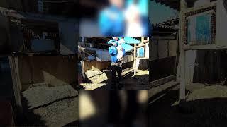 Перед случкой важно посмотреть