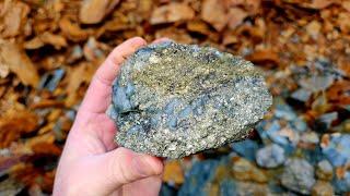 Finding More Copper, Silver & Gold Quartz Veins Along This New Logging Road!