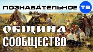 Община или сообщество? (Познавательное ТВ, Артём Войтенков)