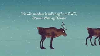 This is Chronic Wasting Disease