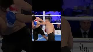 FEA LIGHT HEAVYWEIGHT TOURNAMENT . K-1 rules. 01.10.2016.Highlights. 15 years of FEA