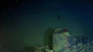 Caladan Oceanic Explores La Minerve Wreck Site Pt. 3