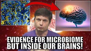Unexpected Discovery of Microbiome Inside Our Brains But Why Is It There?