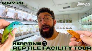 Crazy Private Reptile Facility Tour With HerpTime