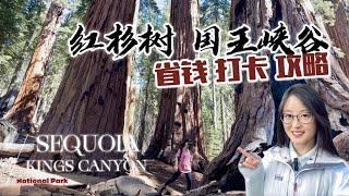 红杉树&国王峡谷国家公园 最省钱的旅行攻略 Sequoia & Kings Canyon National Park