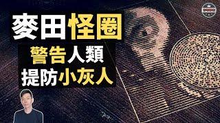 顛覆人類認知的「麥田怪圈」，竟然是高等外星文明的警告（2019）｜【你可敢信 & Nic Believe】