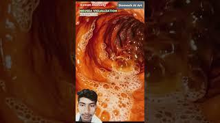 digestive Inestem system Animatione   akash Kumar subscribe share comment 