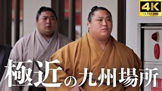 【間違いない】力士観察してみた。大相撲 九州場所【十一月場所 sumo】