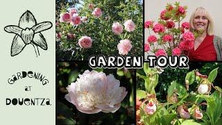 Early Summer Garden Tour || May Irises, Pot Displays, Roses, Hardy Slipper Orchids & Box Blight