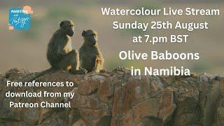 Watercolour Live Stream  Painting Olive Baboons in Namibia  Sunday 25th August 2024, 7:00 PM BST