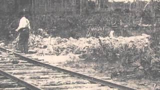 Sarasota County History Center Marker Minute - Turpentine Industry