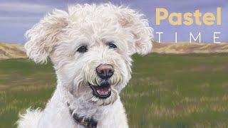 Artie the Bichon Frisé in Soft Pastel - Timelapse