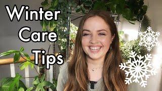 9 Tips for Winter Houseplant Care | How I Care for My Indoor Plants in Winter